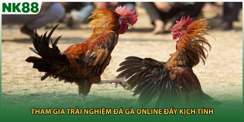 Tham gia trải nghiệm đá gà online đầy kịch tính